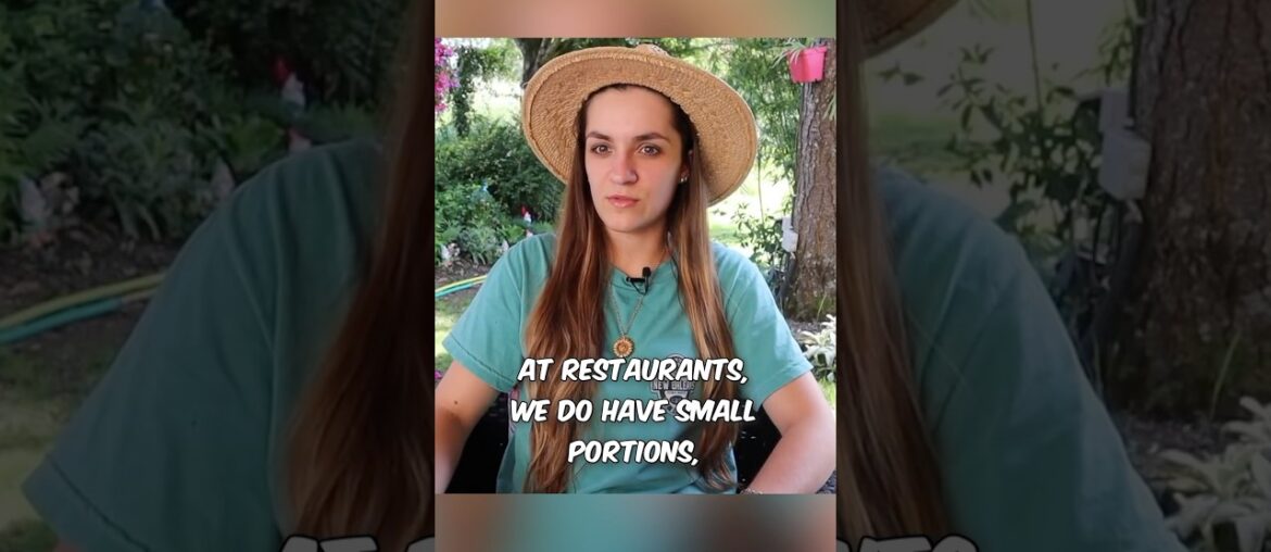 Why such tiny meals in French restaurants??