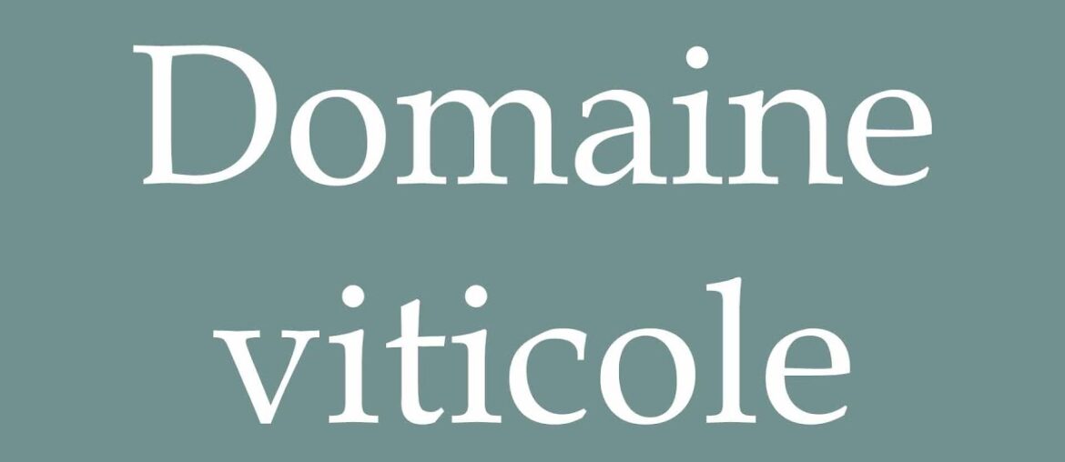 How to Pronounce ''Domaine viticole'' (Wine estate) Correctly in French