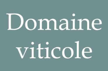 How to Pronounce ''Domaine viticole'' (Wine estate) Correctly in French