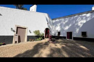 Episode 8: The Reddest Grape