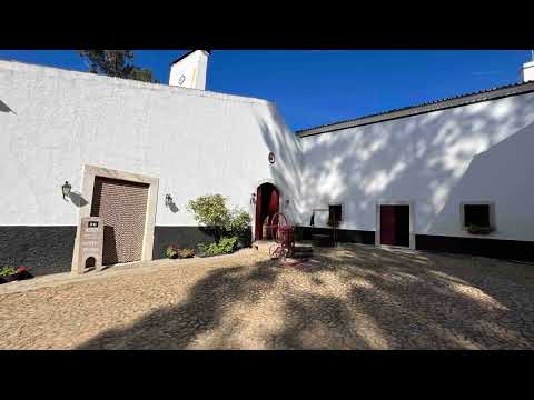 Episode 8: The Reddest Grape Episode 8: The Reddest Grape