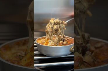 The most delicious recipes