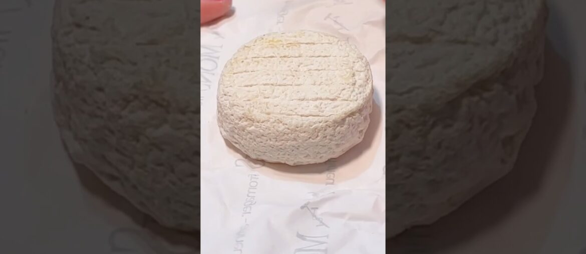 The First Cheese in Space? Meet Picodon! The First Cheese in Space? Meet Picodon!