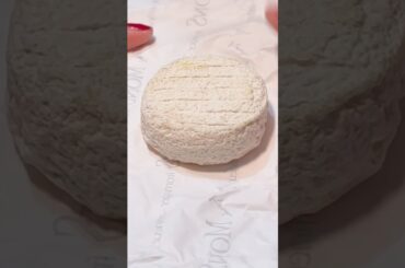 The First Cheese in Space? Meet Picodon!