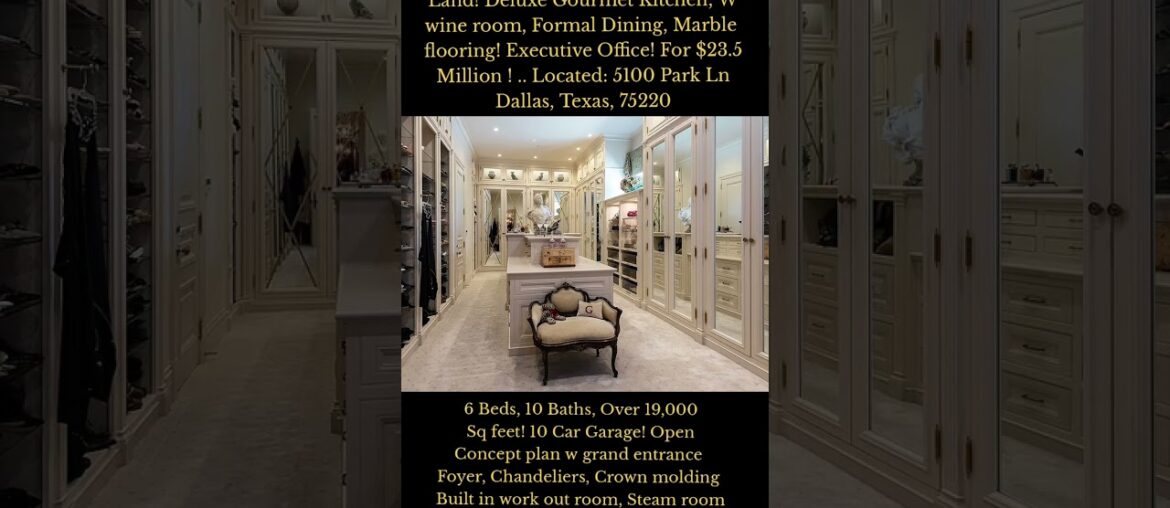 Enchanted Castle Luxury Mansion Estate sitting on over 2 acres! backyard retreat! His and Her bath!