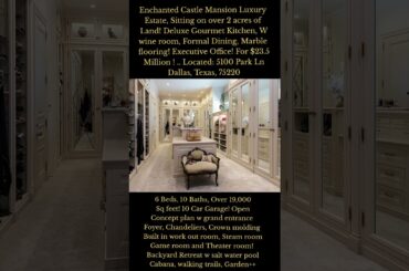 Enchanted Castle Luxury Mansion Estate sitting on over 2 acres! backyard retreat! His and Her bath!