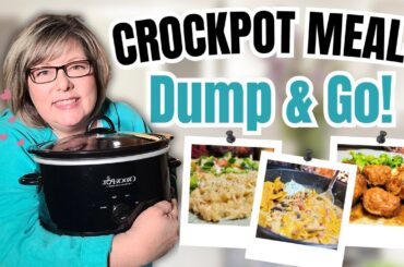 The BEST Dump & Go Crockpot Recipes You’ll Make on Repeat!