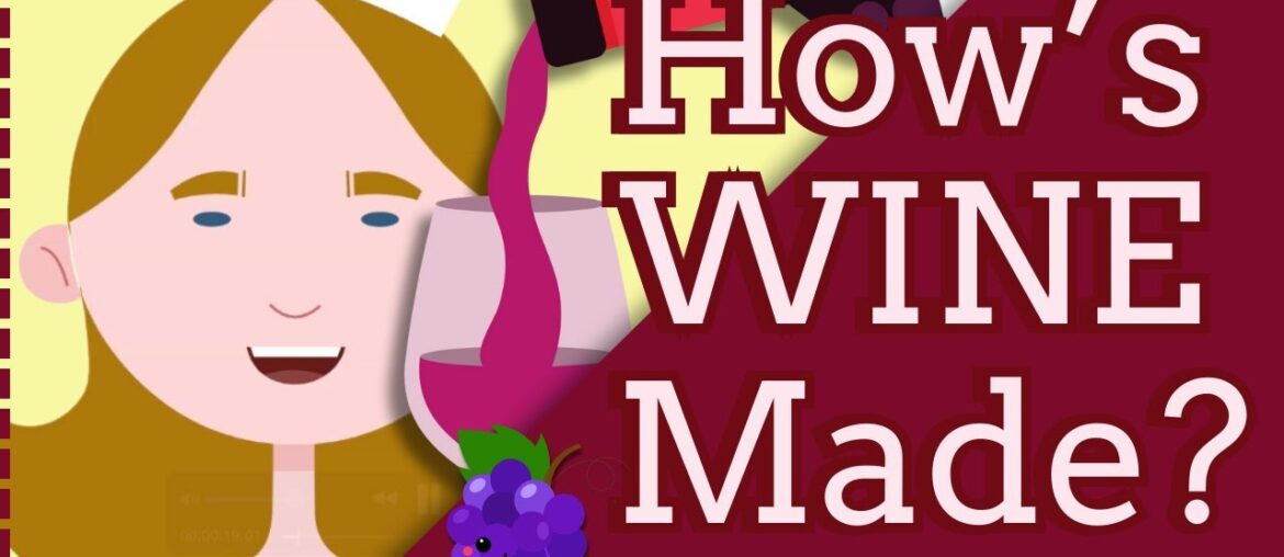 How’s wine made? 7 Steps to know! How's wine made? 7 Steps to know!