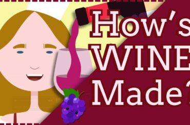 How's wine made? 7 Steps to know!