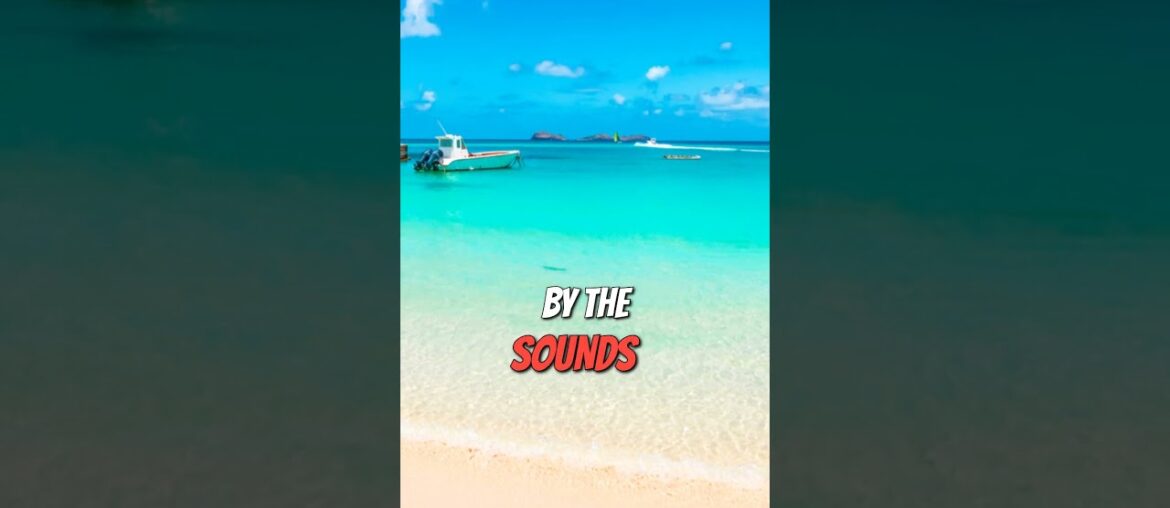 St  Barts  #youtubeshorts #travel #viralvideo