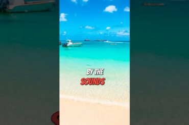 St  Barts  #youtubeshorts #travel #viralvideo