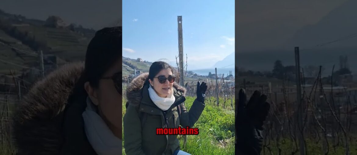 Wine travelling to Switzerland