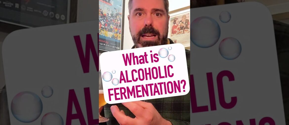 What is Alcoholic Fermentation? What is Alcoholic Fermentation?