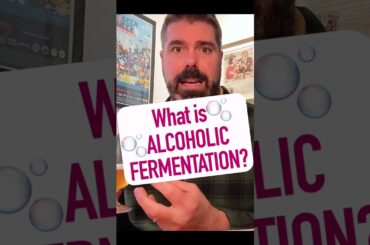 What is Alcoholic Fermentation?