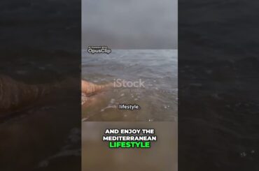 Explore the Enchanting Beauty of the Loire Valley and French Wine