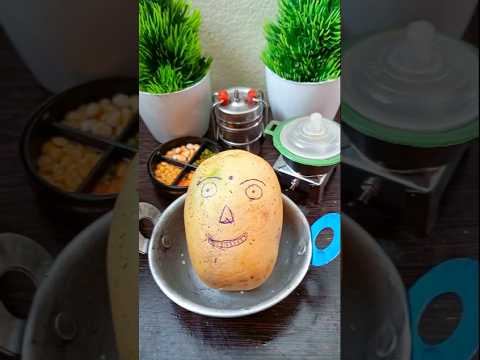 Mini cooking#tinycooking #miniaturecooking miniature#shorts#mini cooking Mini cooking#tinycooking #miniaturecooking miniature#shorts#mini cooking