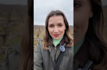 Current Bordeaux wine crisis and structural changes to the market! #bordeauxwine #wine #vineyard