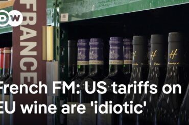 Too hard to swallow? Why Trump's proposed tariffs on European wine could crush the EU wine industry