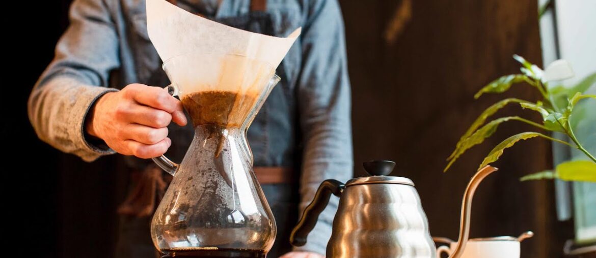 Alive Experience: Brew Like a Pro - Master the Art of Coffee