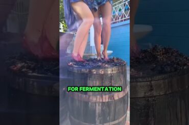 The process of making Georgian wine