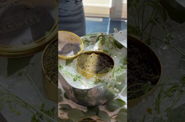 I came for the wines but stayed for the food! #burgundy #frenchwine #winelovers #lapaulee