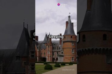 France Like Never Before: A First-Timer’s Ultimate 14-Day Itinerary  #FranceItinerary #travelfrance