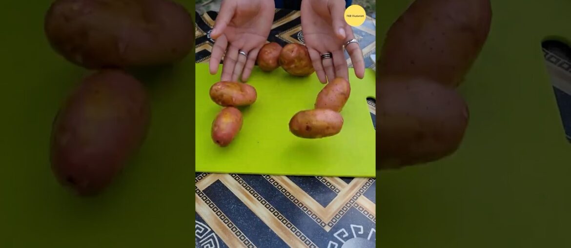 Really super delicious French Fry