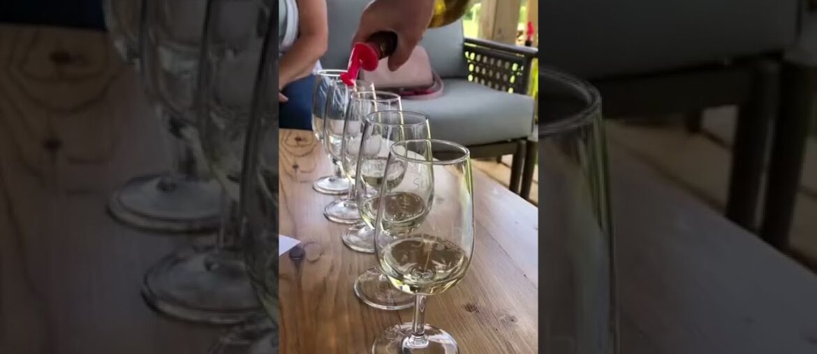 Wine Touring in Prince Edward County