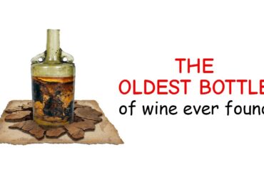 The Oldest Bottle of Wine Ever Found!