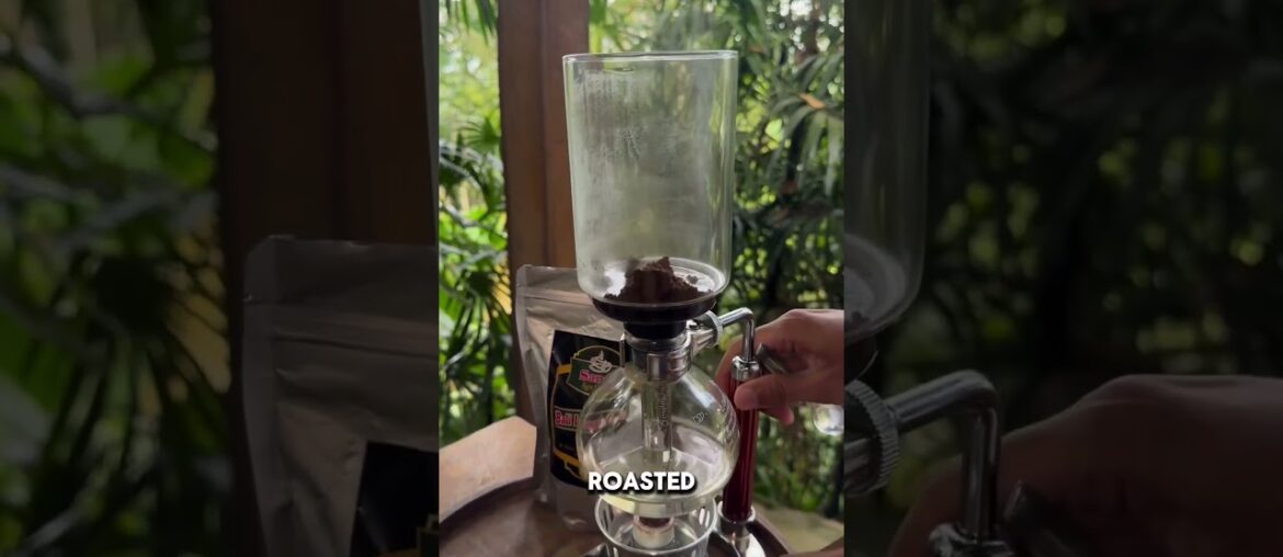 World's Most Expensive Coffee From Civet Feces to Luxury #Kopiluwak #expensivecoffee  #shorts #video