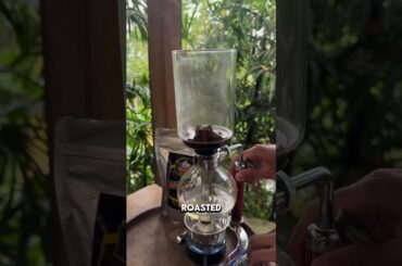 World's Most Expensive Coffee From Civet Feces to Luxury #Kopiluwak #expensivecoffee  #shorts #video