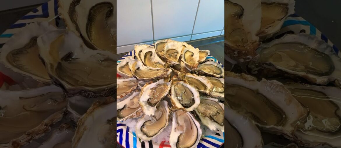 Wine Tasting and Oysters