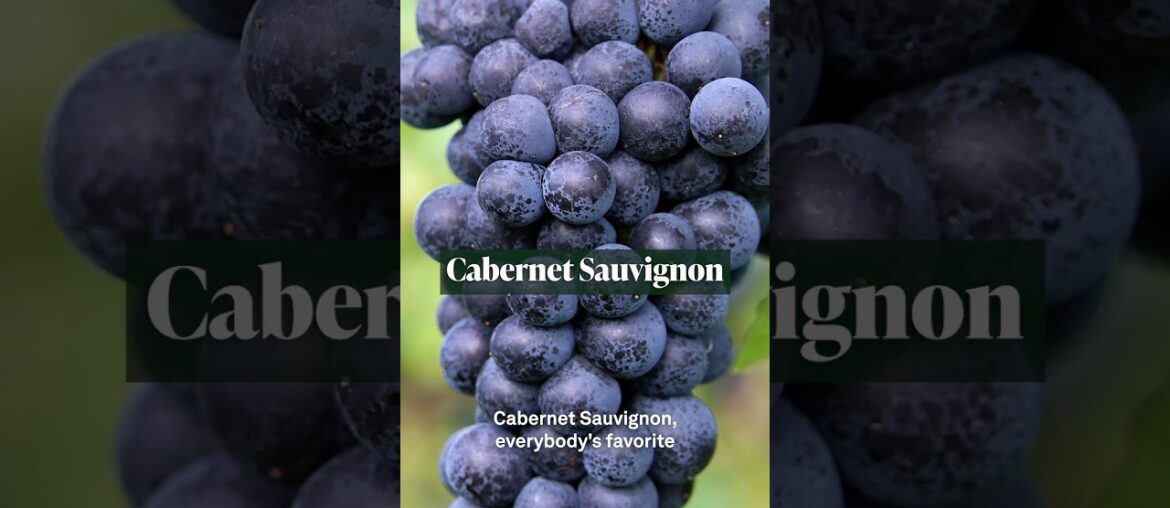 92 Points! Leviathan 2022 Red Blend – Screaming Eagle Winemaker Magnum Format 92 Points! Leviathan 2022 Red Blend - Screaming Eagle Winemaker Magnum Format