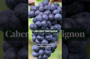 92 Points! Leviathan 2022 Red Blend - Screaming Eagle Winemaker Magnum Format