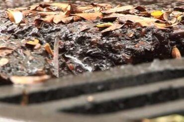 'Wine terrorism' strikes southern France