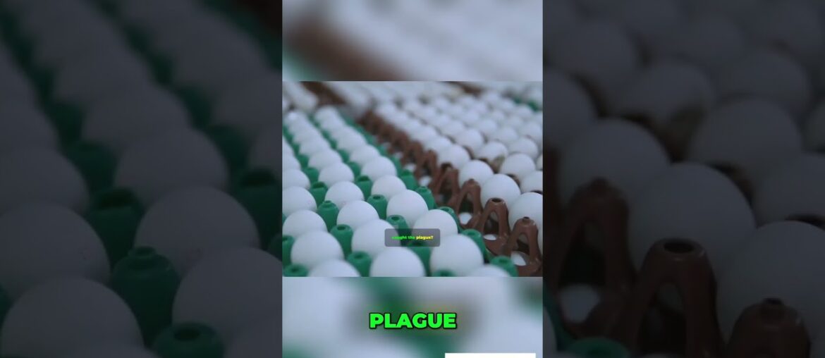 The Weirdest Trade War: Cognac, Wine, and Egg Tariffs