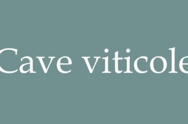 How to Pronounce ''Cave viticole'' (Wine cellar) Correctly in French