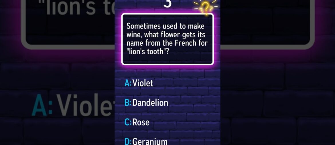 What flower, named from the French for lion's tooth, is sometimes used in wine-making?