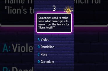 What flower, named from the French for lion's tooth, is sometimes used in wine-making?