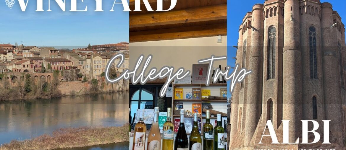 College trip to Vineyard and Albi, France! #europevlogs #francevlogs #travel vlogs