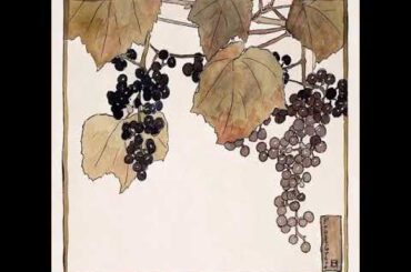 Momento Malum Today Episode 156 Northeastern French Vine Pedigree