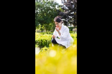 Exploring the Art of Gourmet Food and Beautiful Presentation