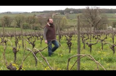 Trump's tariffs compound the pain in France's cognac industry | REUTERS