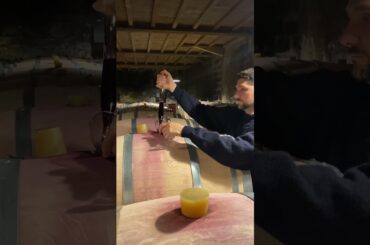 En Primeur Barrel Tasting of Chateau Le Tertre Roteboeuf #barrelsample #stemilion #winetheif