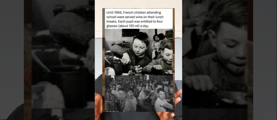 wine in French school history