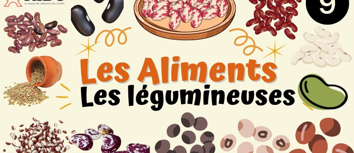 PART9 FRENCH FOOD VOCABULARY Legume Colorful Flashcards for Kids Beginners!