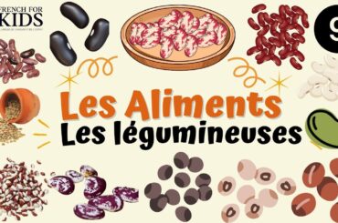 PART9 FRENCH FOOD VOCABULARY Legume Colorful Flashcards for Kids Beginners!