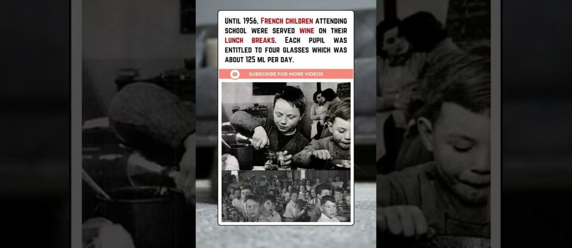 Why French Schools Served WINE to Children Until 1956?
