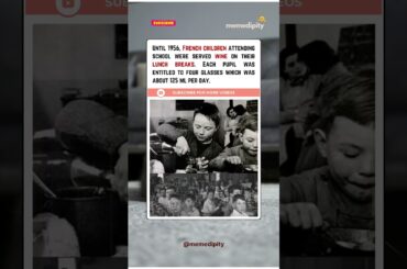 Why French Schools Served WINE to Children Until 1956?