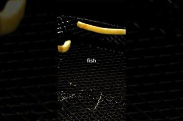 The Crispy Tale of French Fries! #facts #fun #food